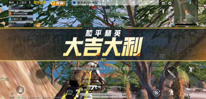 和平精英透视辅助器 - 高清识别稳定运行